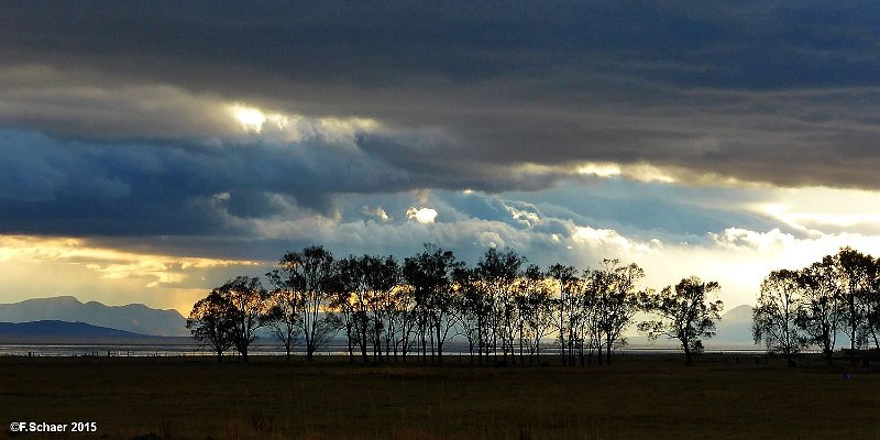 Horizonte 324.jpg - "Every day has his own sky"I made this pic on Hwy 32 along the shore of Summer Lake insouthern Oregon on our way to Death Valley National Park, CA.Position: approx. N 42°49'35"/W 120°47'54", elev. 4150ft/1260mCamera: Panasonic Lumix TZ41, date: 08/11/2015, 08:32am local.