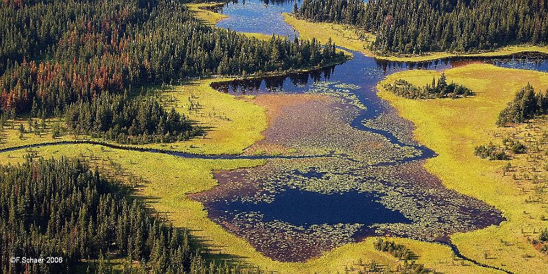 Horizonte 334.jpg - the remote and inaccessable Robinson- Lake on thePlateau west of Clearwater River in British Columbia, about 11kmfrom our house. I made this picture flying back home from a longFire-patrol.Position: N 51°51'10"/ W 120°11'25", el. approx.3000ft/910mCamera: Nkon D50, Nikkor 35-135mm, date: 21/07/2006,17:22pm