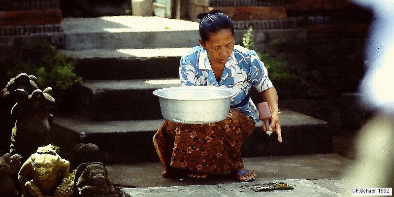 Horizonte 340.jpg - made long ago in Bali (Indonesia), showinga Balinese Woman, preparing her daily offering to theirHindu-Gods. Bali is the only part of Indonesia where theHinduism is the most widespread Religion. Unfortunatelyin the meantime Bali is no longer the sacred and mysteryIsland as it was on our very first visit in January 1973!...another secret paradise sacrificed for "developement"Position: approx. S 08°43'/ E 115°10", date: January 1992Camera: Nikon F601AF, 2,8/180 on Ektachrome, digitalized