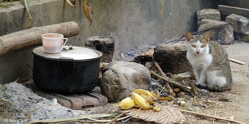 Horizonte 376.jpg - an idyllic Breakfast-Cooking! I made this picturebefore our open-air breakfast in a rural village of Bàn Locin the mountaineous Region southwest of Hanoi,North VietnamPosition: N 20°39'05"/E 105°04'17", elevation: 155m/510feetCamera: Panasonic TZ20, date: February 10/2013, 08:30 local