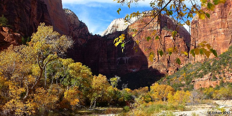 Horizonte 413.jpg - on a long walk on a trail in Zion Nationalpark, Utah, I was impressed about this View in bright Fall-colors.Position: N 37°15'14" W 112°57'25", Camera: Panasonic TZ20auf einer langen Wanderung im Zion-Nationalpark, Utah  packte mich diese Aussicht mit leuchtenden Herbstfarben.