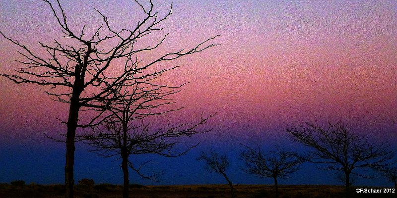 Horizonte 417.jpg - "Evening in the Prairie" I made on a late evening, walking around a remote Campground near Winslow, eastern ArizonaPosition:  N 35°01'55" W 110°39'05", date: 17/11/2012 late evening"Prairieabend" entstand spät abends bei einem einsamen Campground in der Nähe von Winslow, im östlichen Arizona