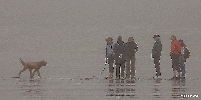 Horizonte 438.jpg - made on a foggy Morning on the Beach of the Pacific Ocean, near the Village of Ucluelet on the Westcoast of Vancouver Island, CanadaPosition: N 48°16'03"/W 125°32'39", date: 26/06/2008, Camera: Nikon D50