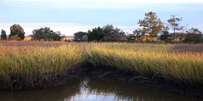 Horizonte 44.jpg - Marshland along Ashley River in Charleston, South Carolina USA, taken from a private boatramp .   click here for Google Maps View   Position: N32°50'44.40" W80°02'40.45" at Sea-Level. Camera: Nikon D50, 40mm lens