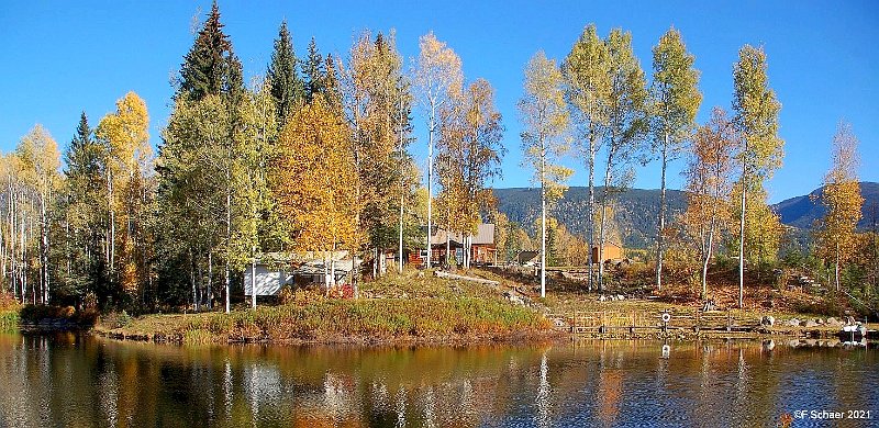 Horizonte 462.jpg - a peace- and colorful Autumn/Fall on our Aspen Hill.Position: N:51°53'01"/W120°01'31", Date: Sept.30, 2021, Nikon D50