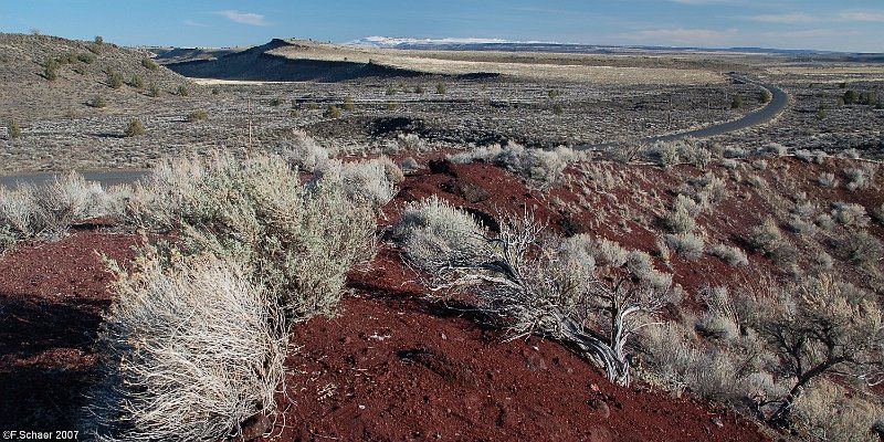 Horizonte 465.jpg - dry Sagebrush, a typical Shrub of the Desert in southeastern Oregon/USAPosition: N 42°01'39"/W 118°36'45",date: 02 April 2007,Camera: Nikon D50