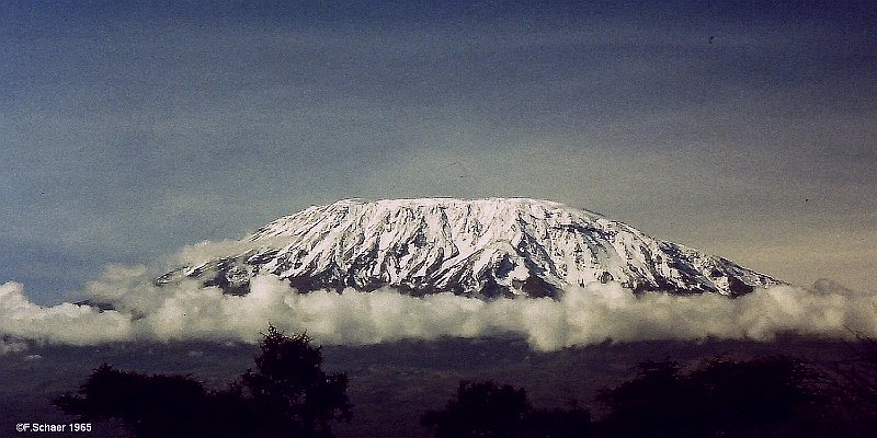 Horizonte 468-1.jpg - pic 2 of 3 Global Warming is the Word of 2021 but I'm not a Politician nor a Activist...!Attached two Pictures, showing the Mount Kilimanjaro (5895m/19400ft)in Tanzania(East Africa)The first Pic I made myself on a Safari 1965 in Tsavo-Nationalpark (Kenia), the second Pic I found in Google... No Comments....Position: Pic 1: S 03°21'48"/E:38°45'35", date: Sept.1965!Camera: Edixa-Reflex with 400mm-lens. 