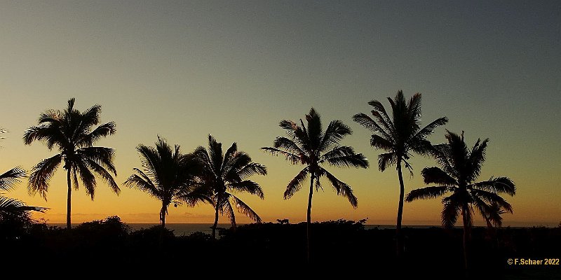 Horizonte 476.jpg - early morning view from our rented Condo on Big Island, Hawaii....Position:    N 19°07'59,4" / W 156°38'38,1", elevation 40ft/14m Camera: Sony Lumix