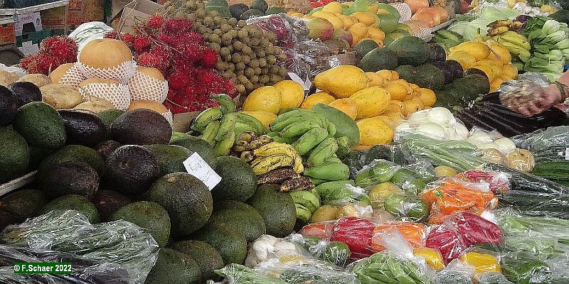 Horizonte 481.jpg - an exotic fruit-stand on the weekly Farmer's Market in Hilo, HawaiiPosition: N 19°43'33"/W 155°05'58", Date: 09/02/2022, Camera : Sony SX90