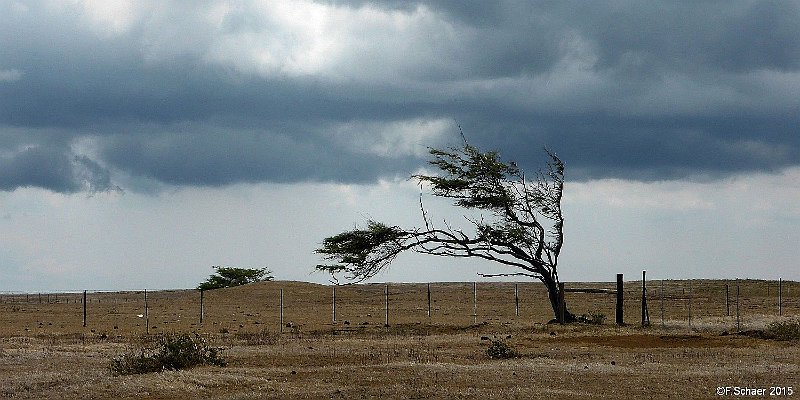 Horizonte 486.jpg - this prairie-like part of Big Island represents the southernmost piece of Land in the United States. looking quite different than the tropical rest of HawaiiPosition:   N: 18°54'40"/W: 155°40'50",date: 13.06.2015  Camera: Panasonic TZ41