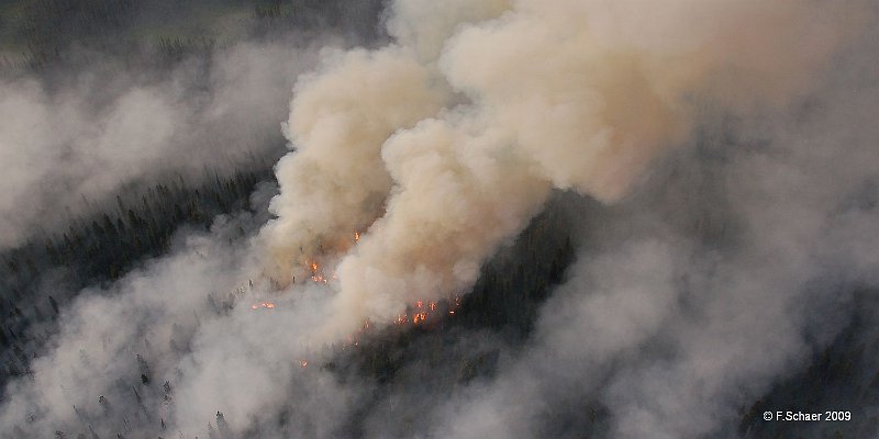 Horizonte 508.jpg - an impressive Picture of a intense Forest-Fire near Kostal-Lake within Wells Gray Park. I made this Picture during a risky Low-level Fire-Patrol with my Cessna 182The Clearing is still visible on Google EarthPosition:   N: 52°08'50"/W: 120°00'00", date: 31.07.2009. 