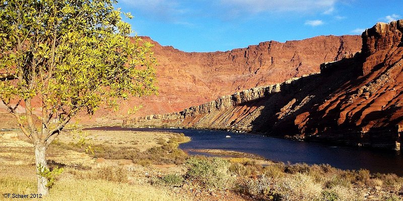 Horizonte 524.jpg - made on a long Walk along the mighty Colorado River, before it enters the wellknown,300 km long Lake Powell Utah/Arizona, USAPosition   N: 36°51`24"/W: 111°36'12" date:10/11/2012, Panasonic TZ20