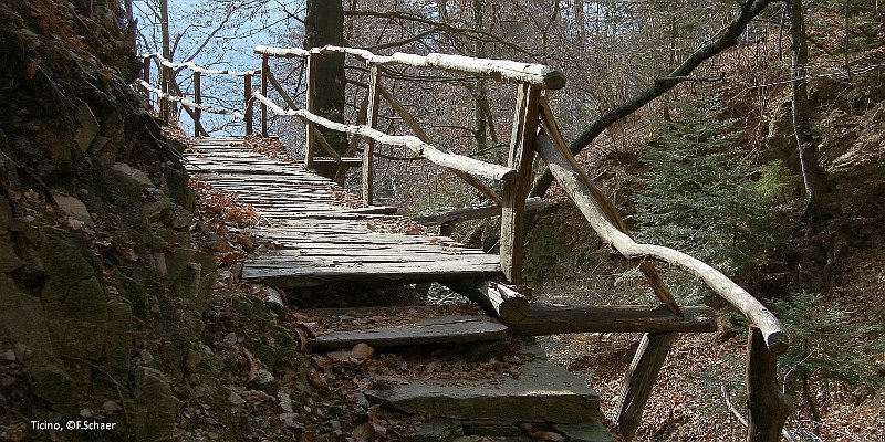 Horizonte 54.jpg - a picturesque spot on the trail from Cardada to Orselina, north of the city of Locarno, Switzerland.   click here for Google Maps View   Position: N46°11'20" E08°47'30", Elevation 1115m/3660ft Camera: Panasonic TZ20 at 69mm