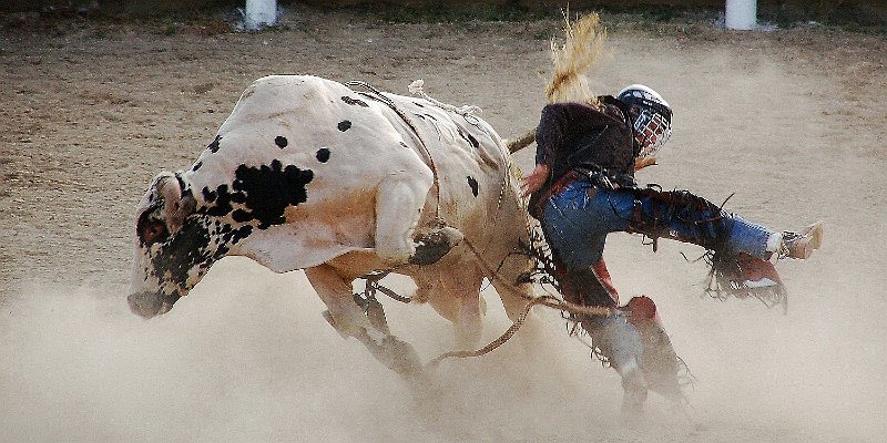 Horizonte 555.jpg -  Exit! the decisive Moment for this Participant on a Rodeo in Barriere, British Columbia, CanadaDate:         30.09.2008    Camera: Nikon D50 at 180 mm