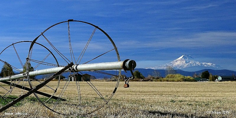 Horizonte 577.jpg - rural Farmland in Oregon with Mt.Jefferson, (3200m/14'530ft), an old extinct Volcano on the far Horizon Foto made on our way with our Motorhome to the Death ValleyPosition N 44°31'/ W 121°11' Date: 06/11/2015