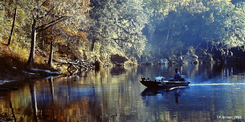 Horizonte 589.jpg - made on an early walk in the Okefenookie-Swamps in Eastern Florida, giving an impression of the mystic mood of this hidden secret.. What a contrast to the public image of Florida !position, date, camera: not recorded, (converted Kodachrome-slide)