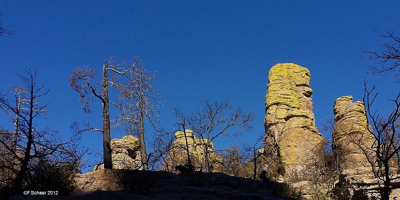 Horizonte 606.jpg - made on a long, strenous Walk in the Chricahua National-Monument in Arizona. Position: N 36°25' W 109°19' Date :28.11.2012Camera: Panasonic TZ