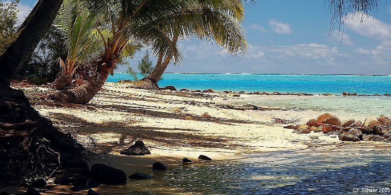 Horizonte 621.jpg - hows our Dream-Beach for the coming few Weeks, again we'll enjoy the beautiful Island of Moorea and the Trip on Board of the "Aranui" to the Marquesas- Islands, 1600 km North of Tahiti.Date: 23/11/2005 Position: W 149°54,51'/N 17°29,51'(exactly)Camera: Nikon D50