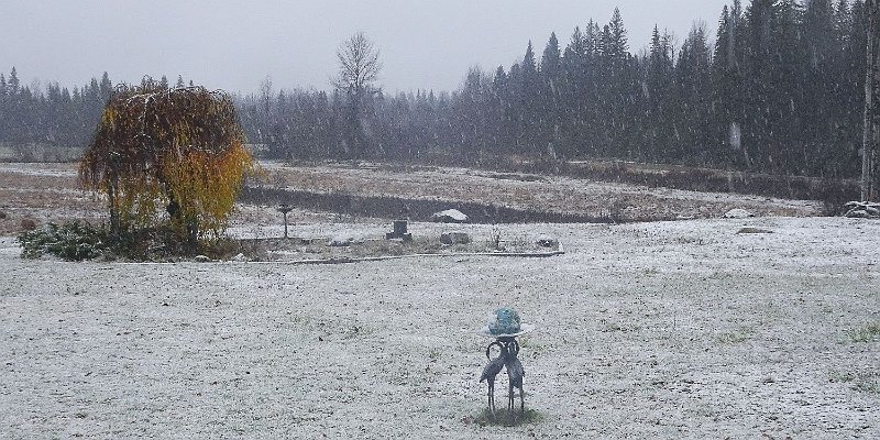 Horizonte 622.jpg - Just back from the South Pacific we got the first Snowflakes on our Home at Aspen Hill, seems the Winter is coming soon!