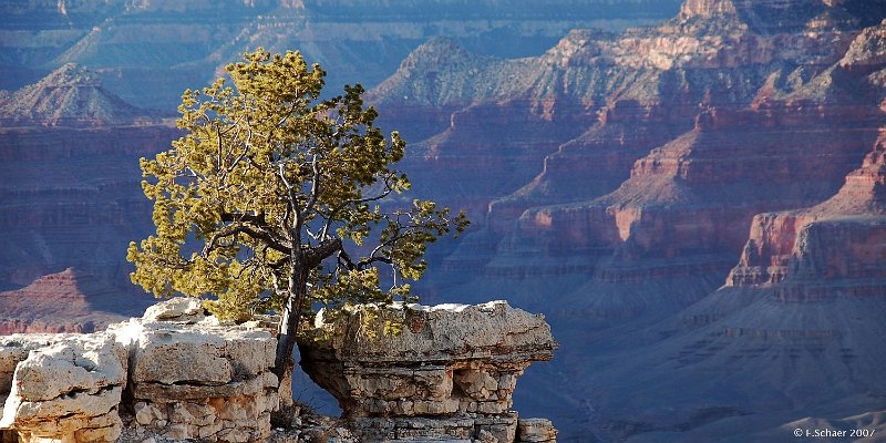 Horizonte 634.jpg - made on a Walk on the South Rim-Trail of the Grand Canyon in Arizona/USA,  looking to the North Rim in 18 km DistanceDate: 14/03/2007, Pos. N 36°05'/ W 112°06'