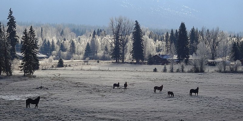 Horizonte 635.jpg - View from our property to our Neighbours Horse-pasture and their Wells Gray Guest Ranch on a cold wintery Mornin