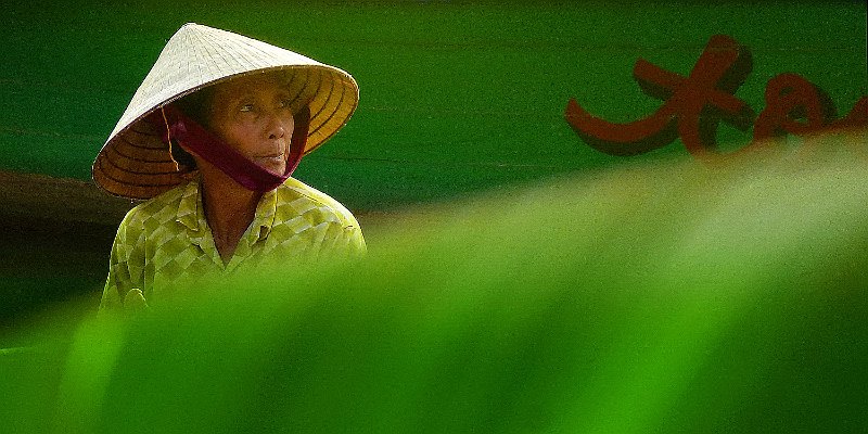 Horizonte 64.jpg - shows a Vietnamese woman on her boat in the harbour of Hoi An, waiting for tourists, seen with a banana-leaf in the foreground.   click here for Google Maps View   Position: N15°52'34" E108°19'43" at sealevel Camera: Panasonic TZ20