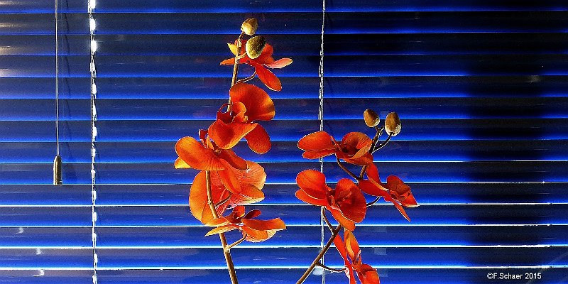 Horizonte 640.jpg - Contrasts" I made on the Window in our Home-office, Oct 15,2015 with my simple Panasonic TZ 41.