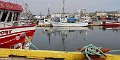 Horizonte 598