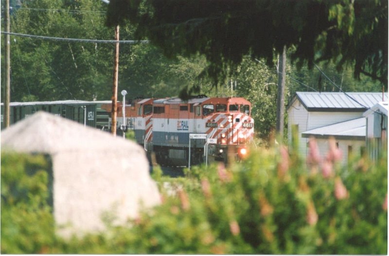 CN4611_1.jpg