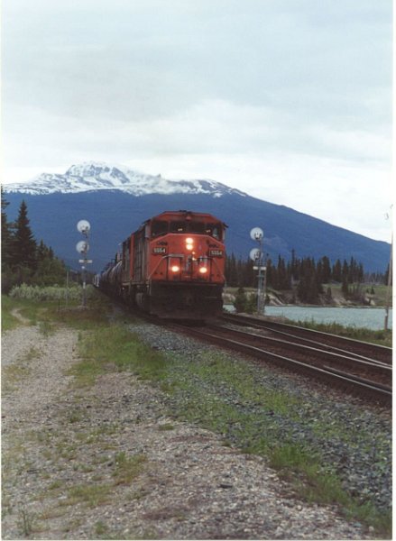 CN5554_1.jpg