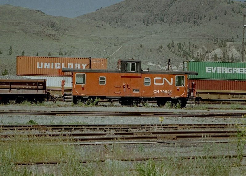 CN79825_1.jpg