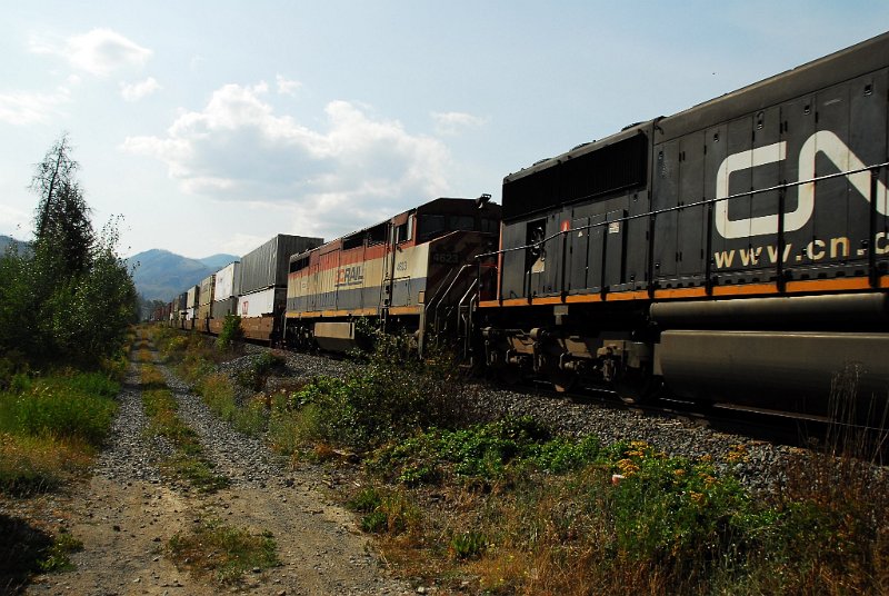 DSC_3451.JPG
