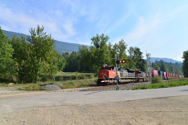 DSC_7137.JPG
