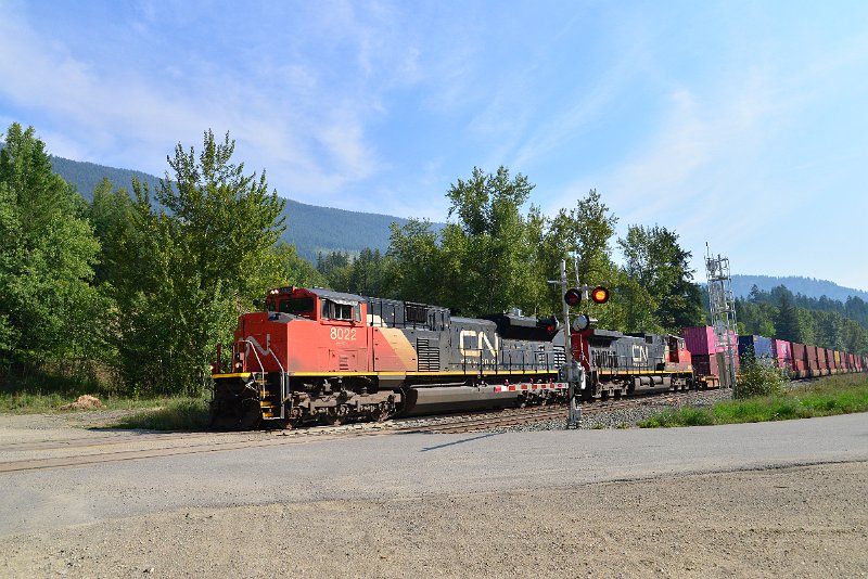 DSC_7138.JPG