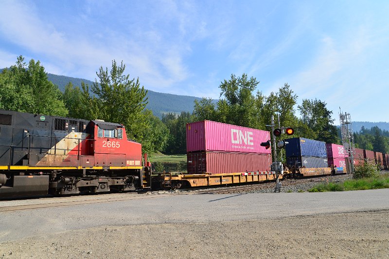 DSC_7140.JPG