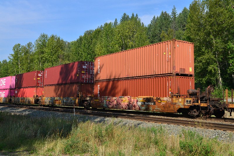 DSC_7145.JPG