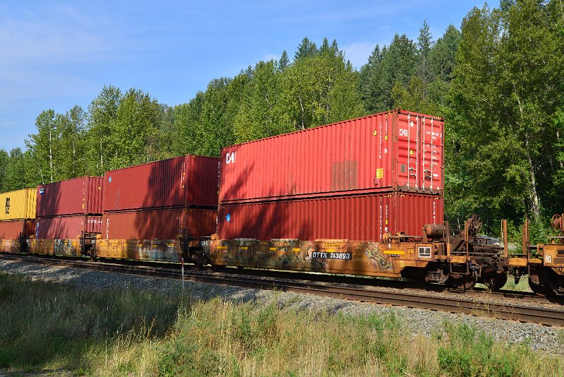 DSC_7150.JPG