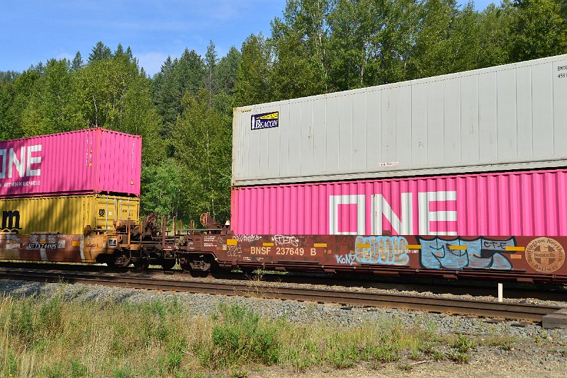 DSC_7156.JPG
