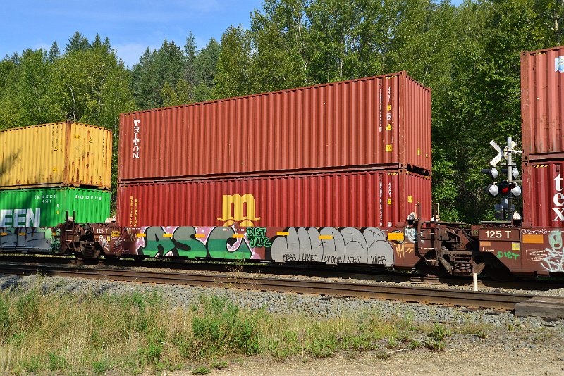 DSC_7159.JPG