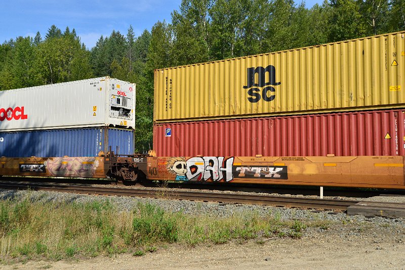 DSC_7163.JPG