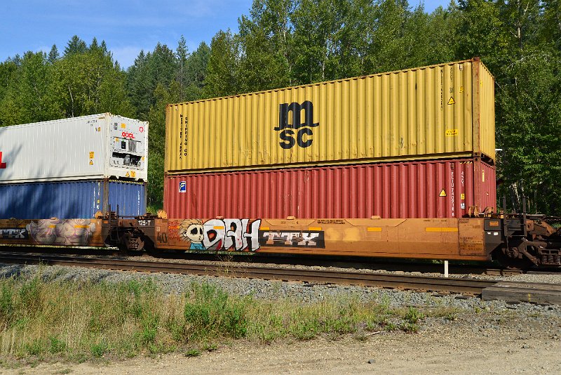 DSC_7164.JPG