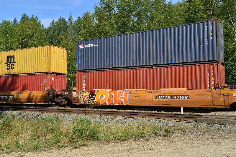 DSC_7165.JPG