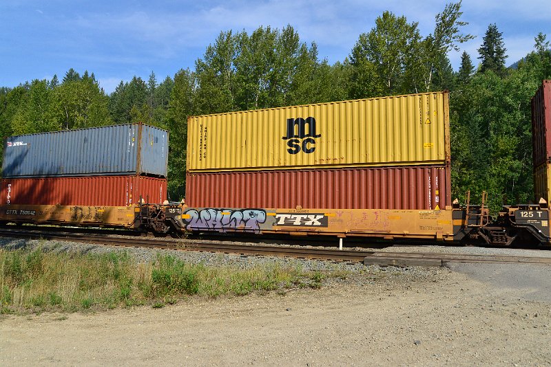 DSC_7167.JPG