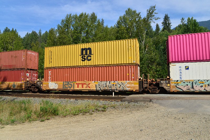 DSC_7174.JPG