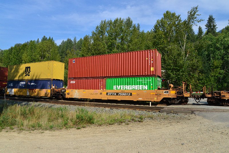 DSC_7194.JPG