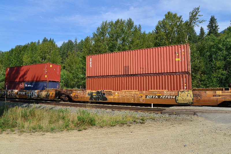 DSC_7203.JPG