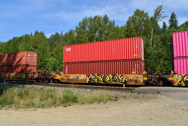 DSC_7204.JPG