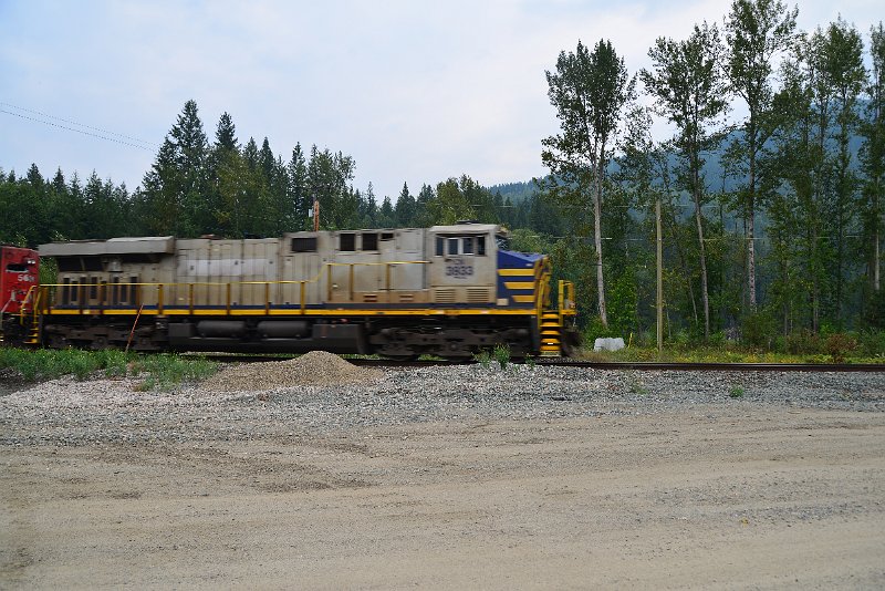 DSC_9020.JPG
