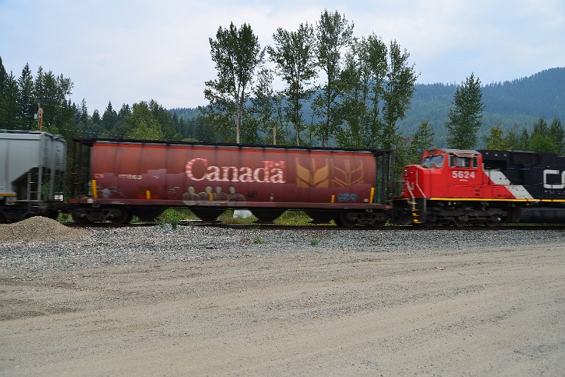 DSC_9022.JPG