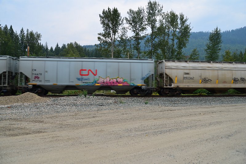 DSC_9026.JPG